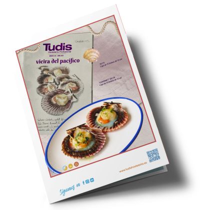 catalogo hostelería tudis burgos 2023